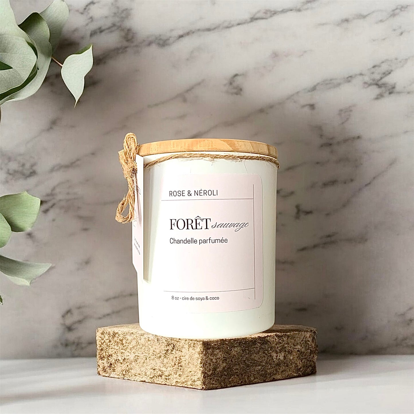 Forêt sauvage